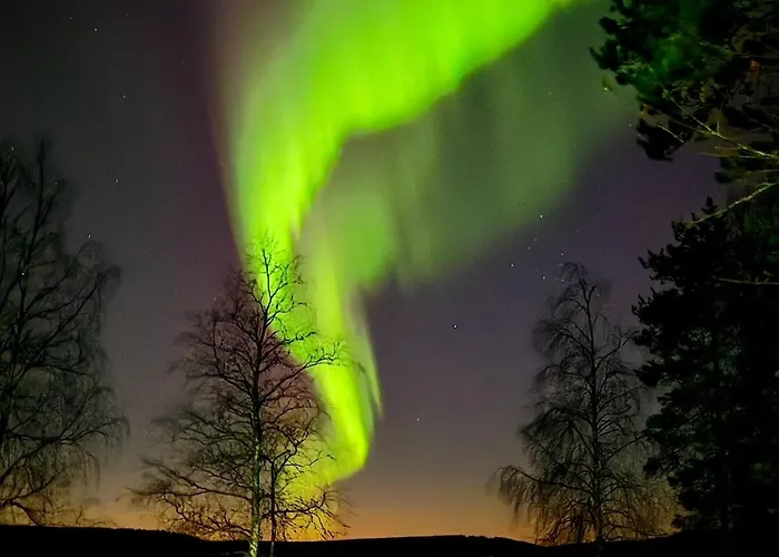 Willa Private With Hot Tub & Sauna Rovaniemi